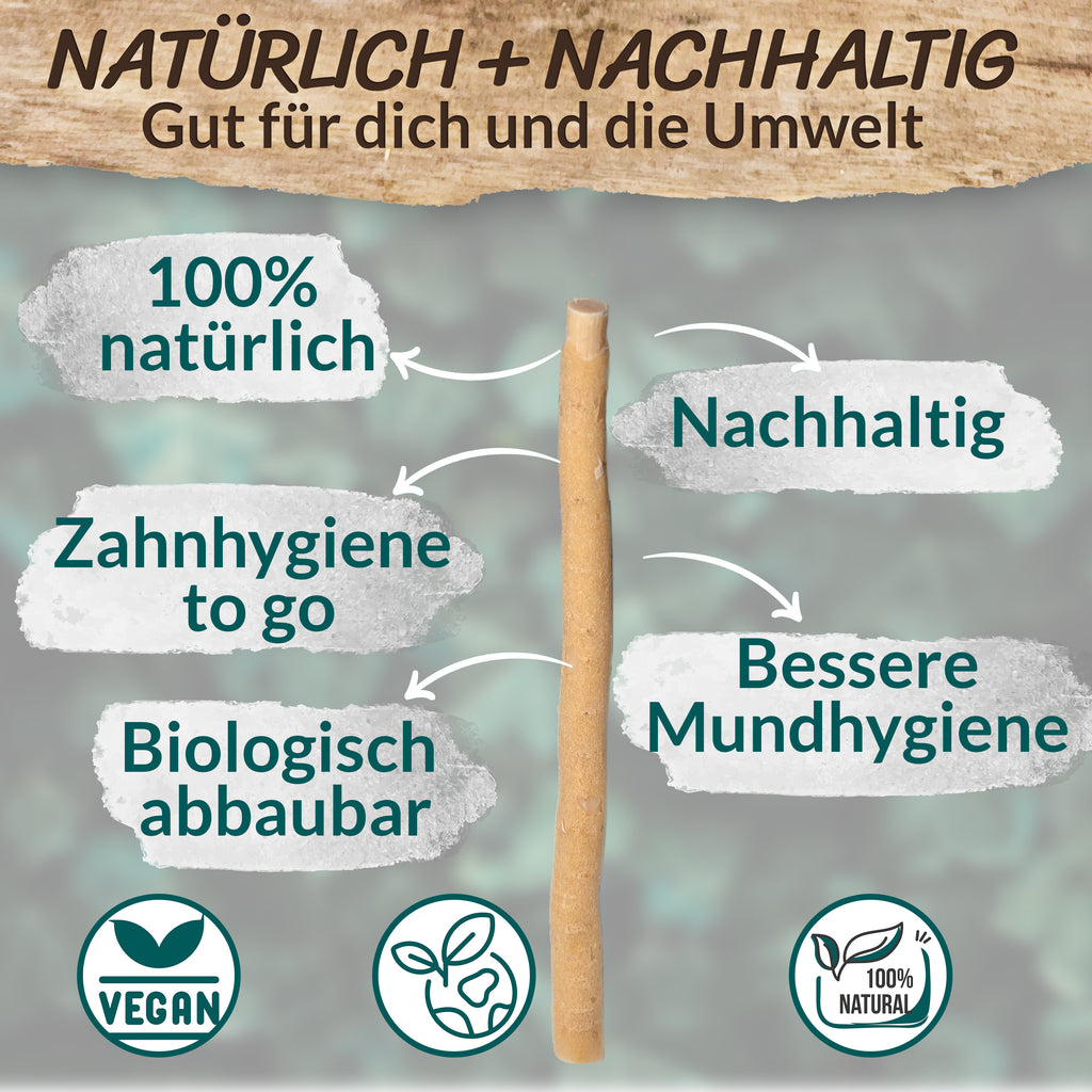 ESVED Miswak 5er Set mit Frischhaltedose - Natürliche Zahnbürste