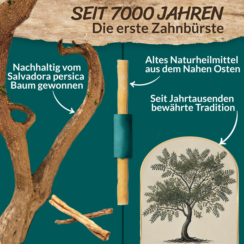 ESVED Miswak 5er Set mit Frischhaltedose - Natürliche Zahnbürste