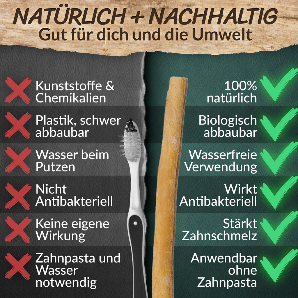 ESVED Miswak 5er Set mit Frischhaltedose - Natürliche Zahnbürste
