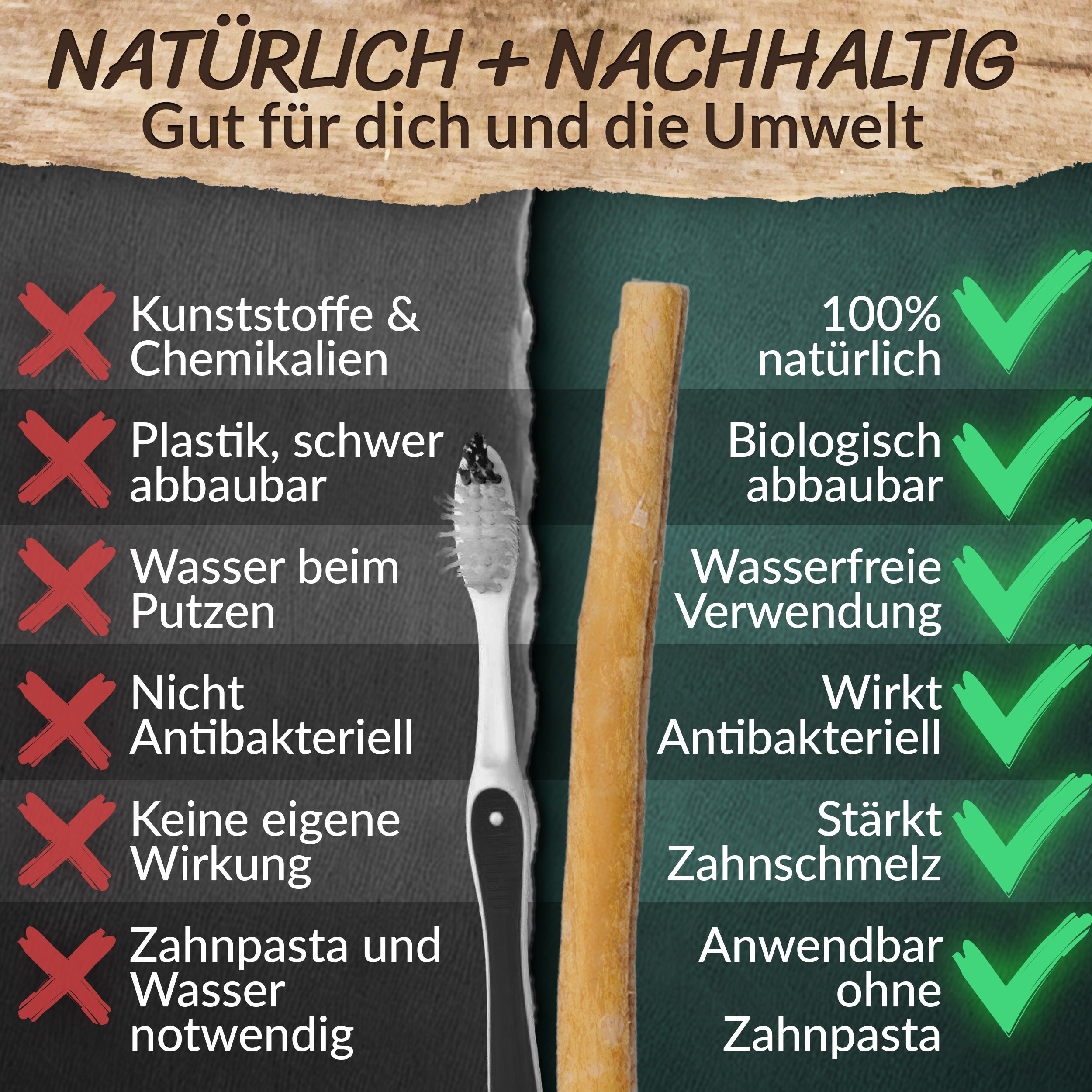 ESVED Miswak 5er Set mit Frischhaltedose - Natürliche Zahnbürste